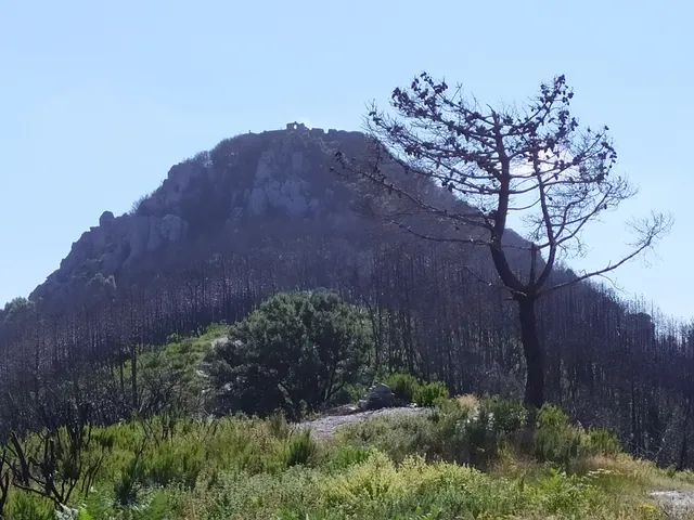 Abbazia di San Michele alla Verruca (ruderi)