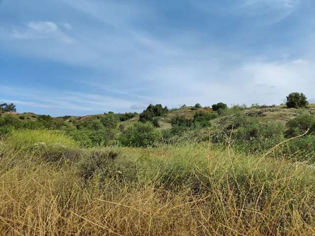 West Coyote Hills Nature Park