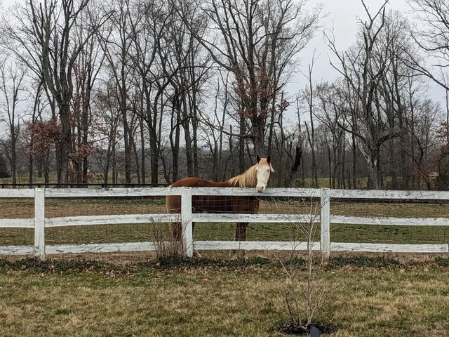 Bull Run Country Club