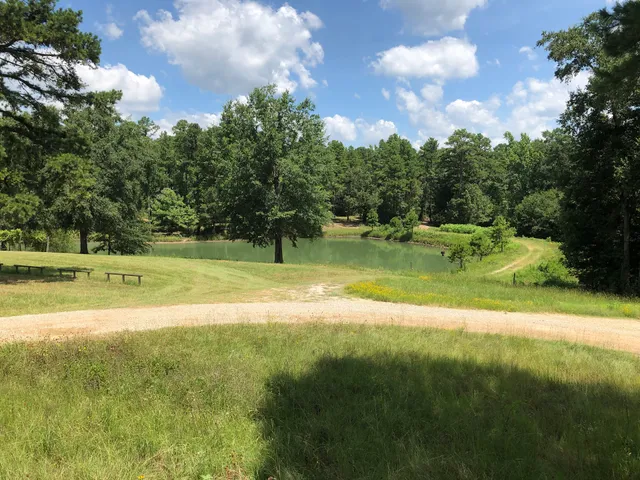 Grand Oaks Vineyards and Winery