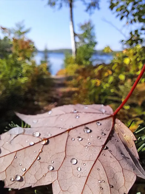 Pfeiffer Lake Campground