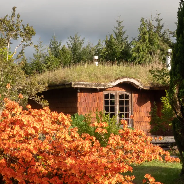 Hostal Zapato Amarillo