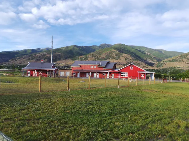 John Volken Academy Movers UT