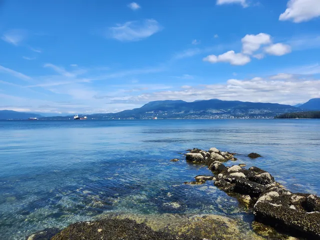 Point Grey Park Site at Trafalgar Street