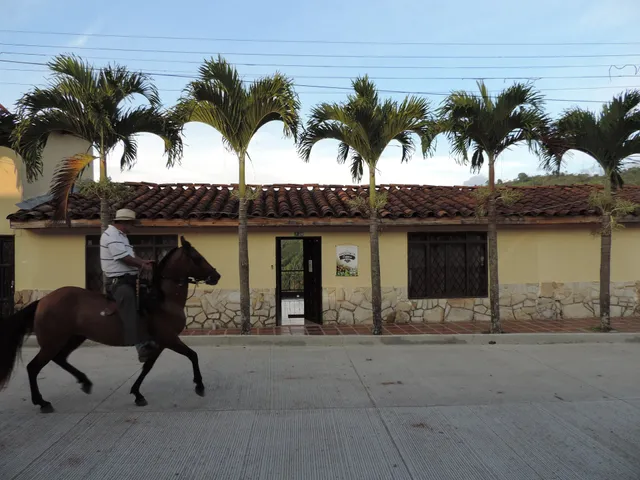 Panorama Café Hostel