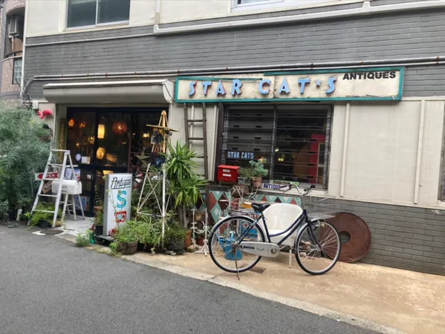 star cat (antique shop)