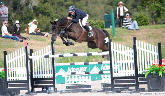 David Beisel Stables