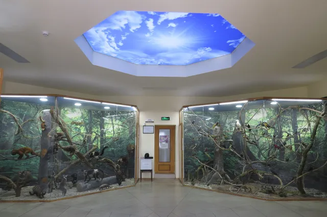 Museum of Natural Sciences