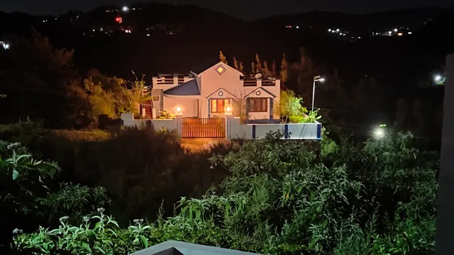 Blue Blossoms at Ketti