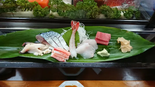 Janome Sushi