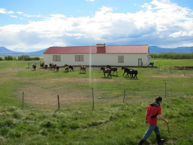 Frostastaðir Gistihús