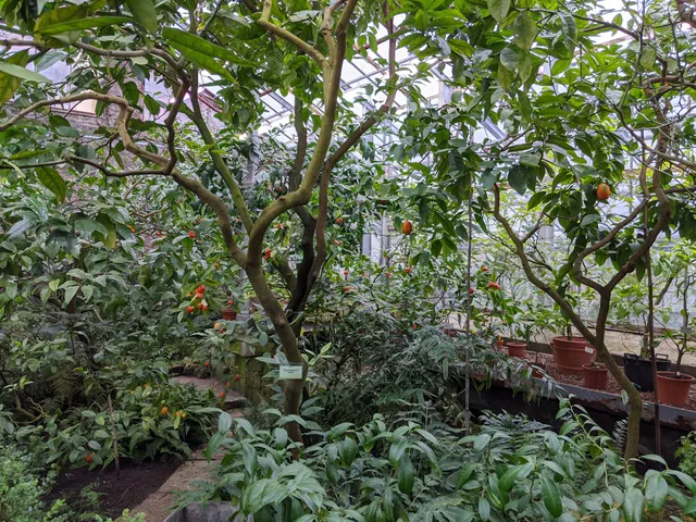 ФГБУН Ботанический институт им. В. Л. Комарова РАН