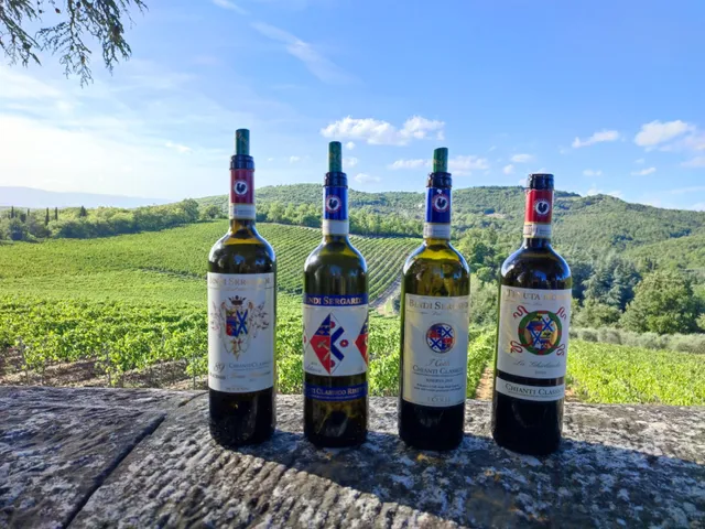 Bindi Sergardi - Tenuta Mocenni