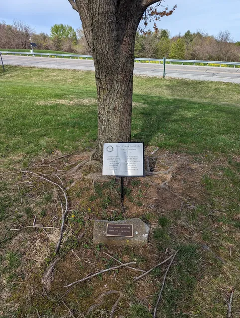 Franklin Park - Rotary Pavilion