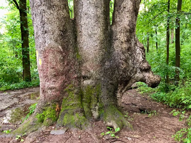 Hiking Trail - South Mountain Reservoir