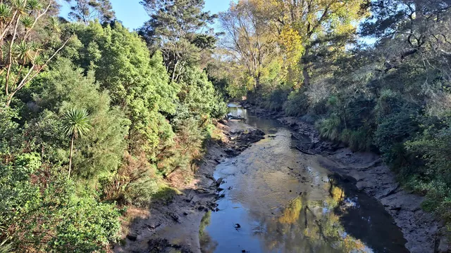 Opanuku Stream Cycle And Walkway