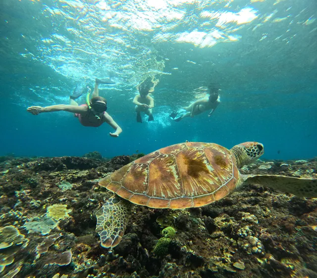 Ceningan snorkeling trip