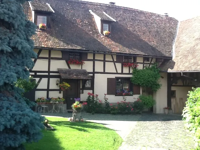 La Tête dans les Etoiles