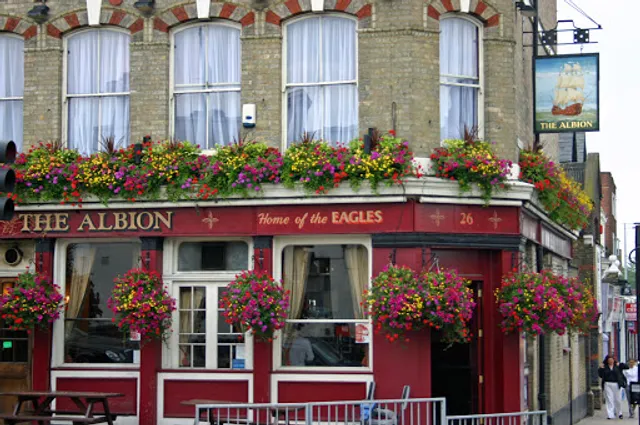 The Albion London