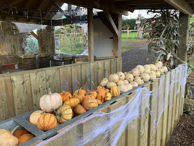 Birchfield Family Dairies