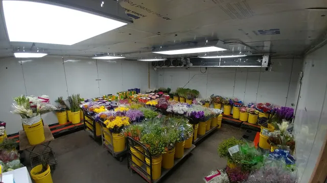 Chicago's Wholesale Florist