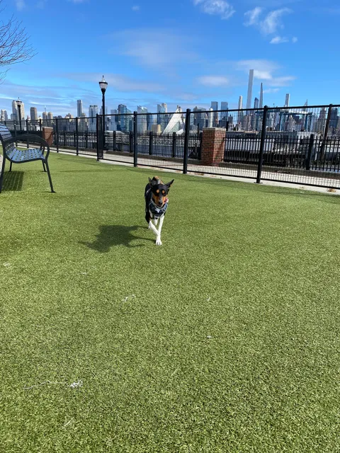 Dog Park