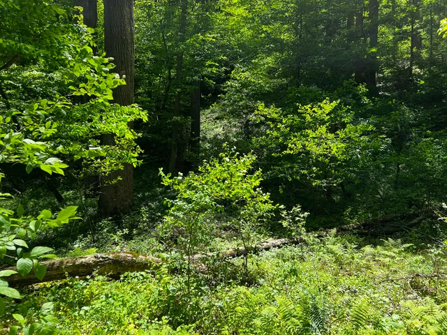 Gunpowder Falls State Park Central Area