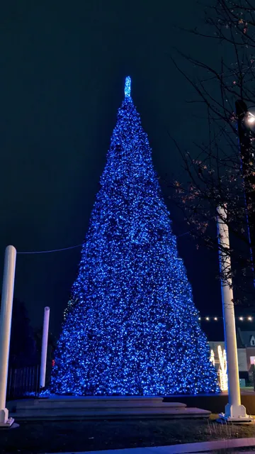 810 Entertainment - South Barrington