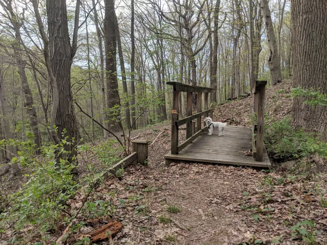 Green Tree Nature Center