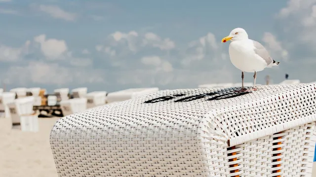 Holiday apartment in St. Peter-Ording