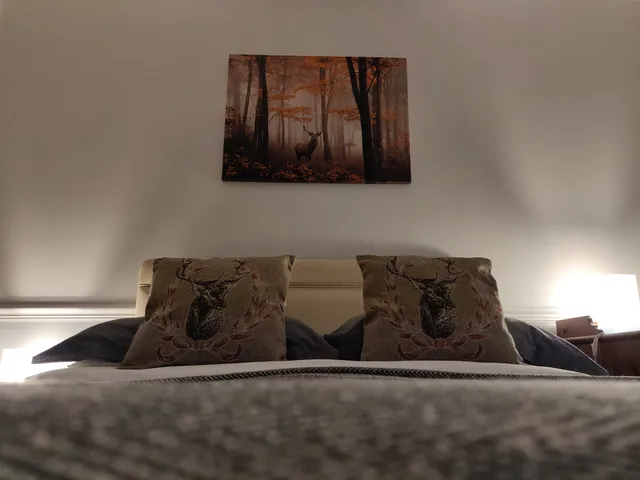 Wild Orchid Guest House