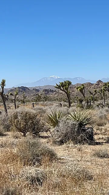 Black Rock Canyon Trailhead