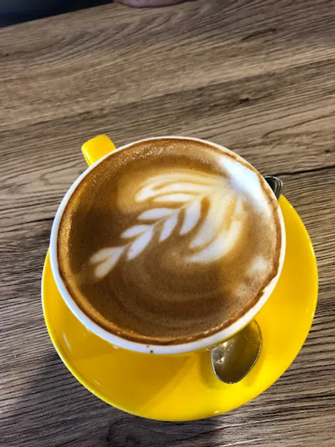 Gato Legal Coffee Roastery