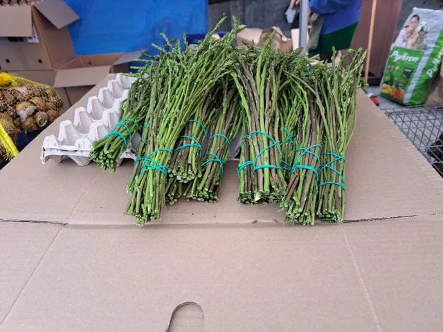 Mercat setmanal de Vic