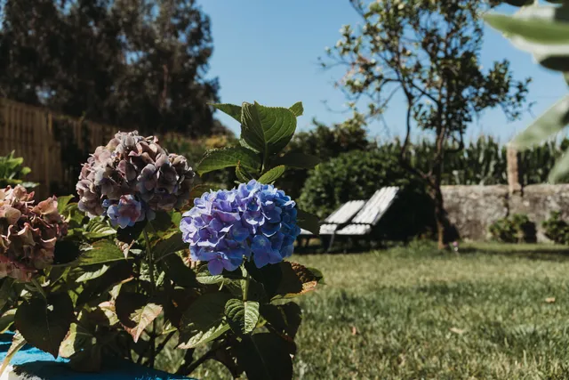 A casa da estrela, albergue Caminho de Santiago