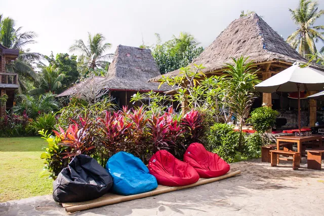 Mojo Surf Camp Red Island