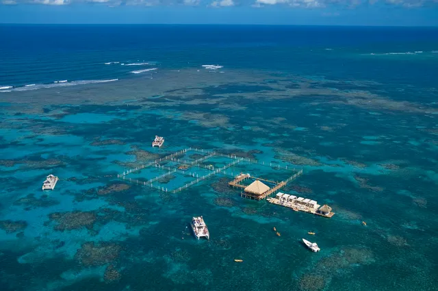 Marinarium Snorkeling Cruise