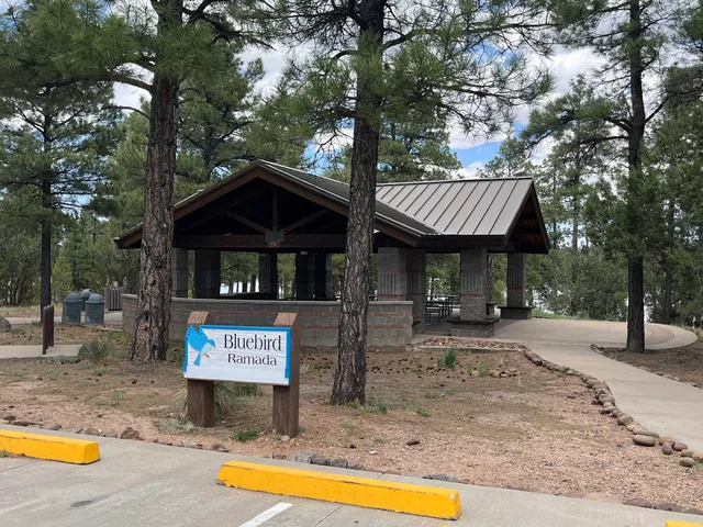 Fool Hollow Lake Mallard Campground