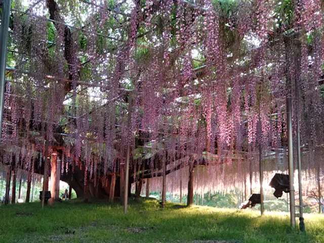 Ashikaga Flower Park West Gate