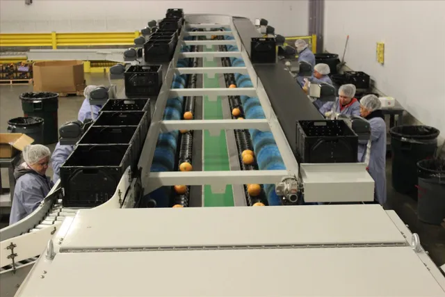 Professional Produce