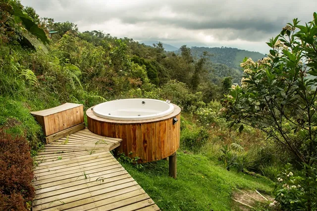 Hotel | Owls Watch at Rio Blanco | Avistamiento de Aves