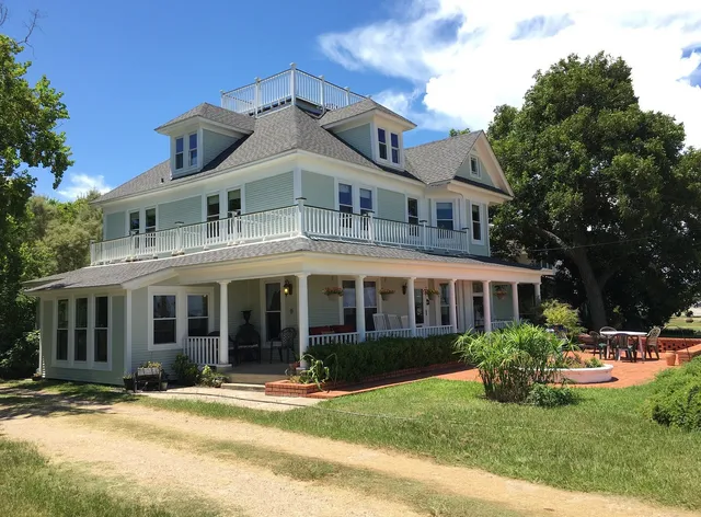 The Peaceful Pelican