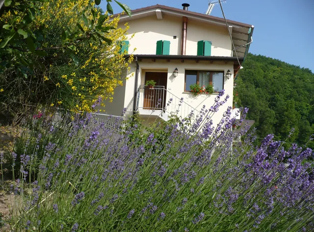 B&B Solo per Quattro