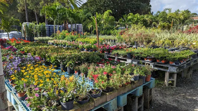 Frank's Garden Center
