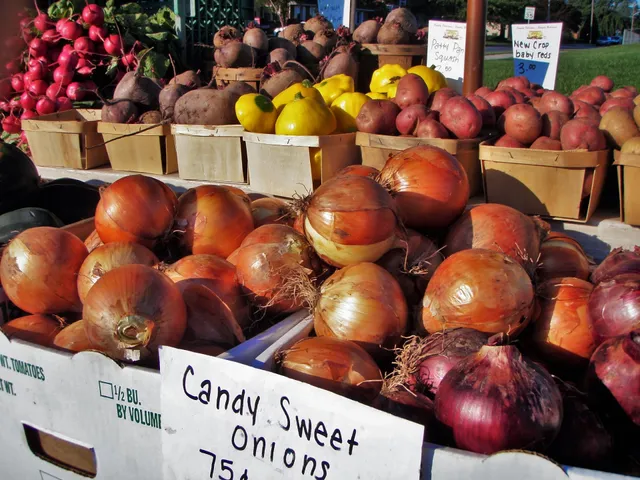 Palmyra Producer-Only Farmers Market