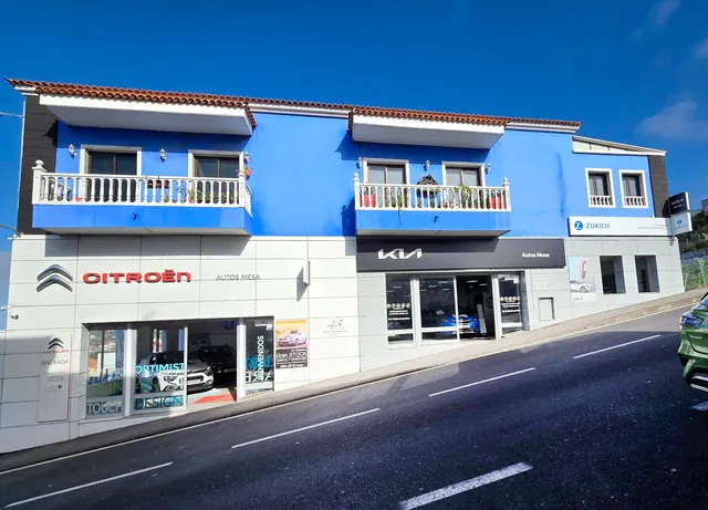 Citroën- Autos Repuestos Mesa