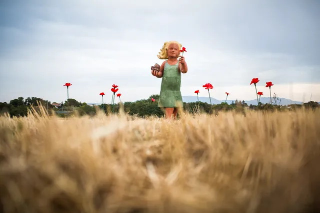 Farmhouse Casale Herd of Joseph Verri