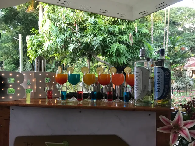 The Bar Masters Mobile Bar