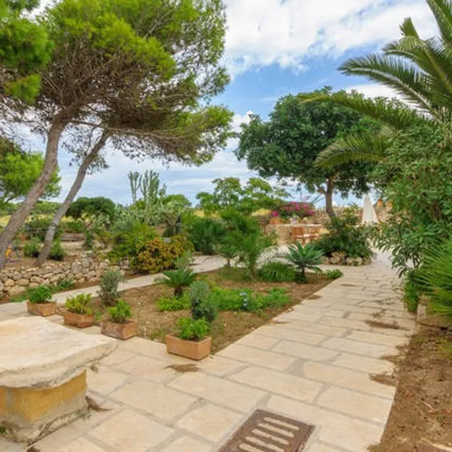 Pinetina di Favignana