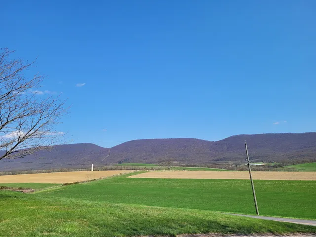 Maple Hill Country Store